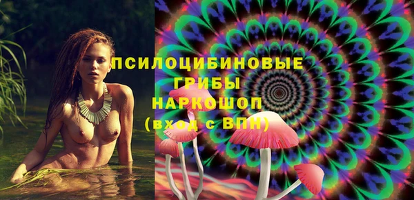 тгк Переславль-Залесский