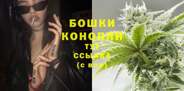 мдпв Покачи