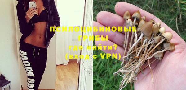 а пвп мука Пестово