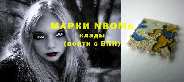 PSILOCYBIN Вяземский