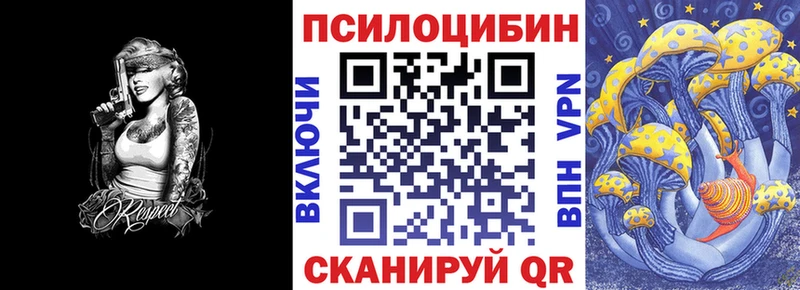 kraken онион  Красноармейск  Псилоцибиновые грибы прущие грибы 