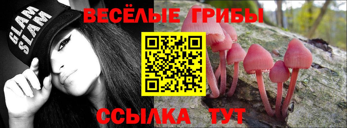Галлюциногенные грибы мицелий Красноармейск
