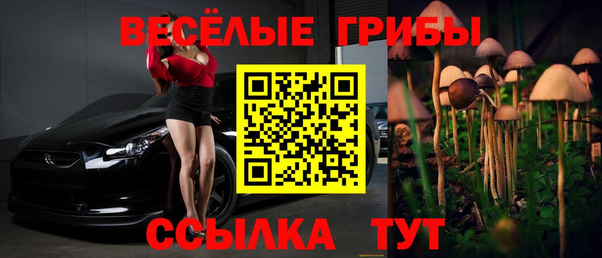 Галлюциногенные грибы Psilocybe Красноармейск